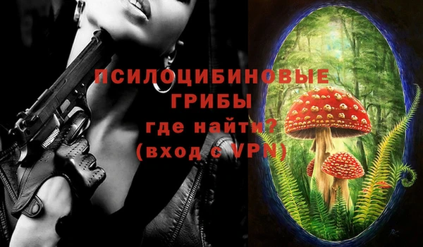 спайс Магас