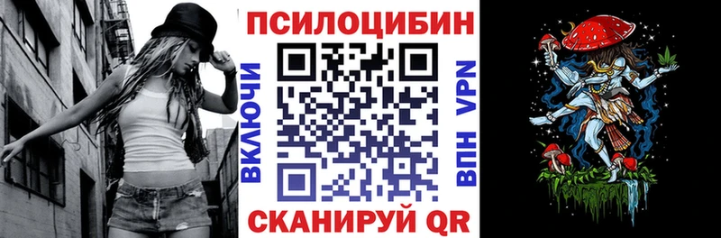 Псилоцибиновые грибы мицелий  Купить  Белгород